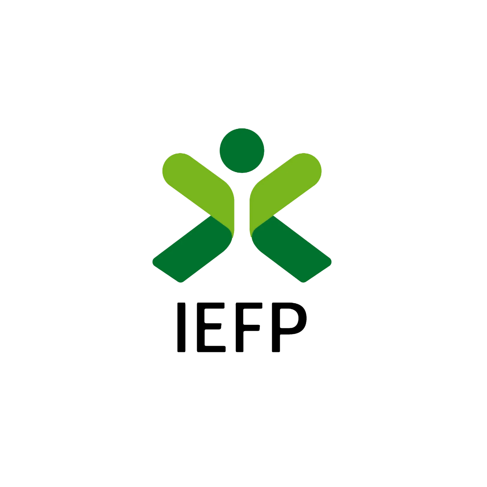 IEFP-1624.1624
